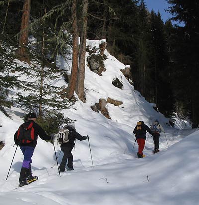 La Valle Del Bove