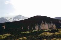 2002 Etna lateral craters